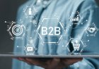 B2B Data Tools: The Backbone of Modern Revenue, Marketing, and Growth Strategies