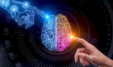 How APIs Will Make Low-Cost AI And Machine Learning More Accessible To All