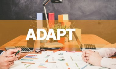 The Importance of Adaptability in Modern Business Strategies