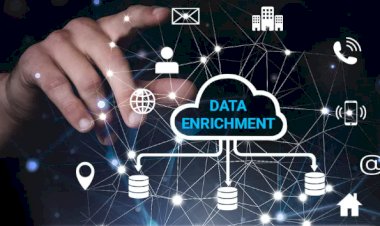 Data Enrichment: Elevating Efficiency in AI/ML Training Workflows