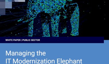 Managing the IT Modernization Elephant A bite-sized approach to digital modernization