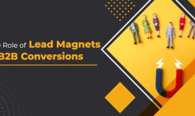 The Role of Lead Magnets in B2B Conversions